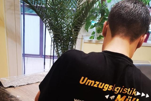 Laborumzug Oybin stressfrei umziehen 